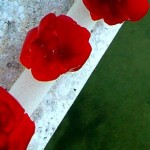 ingrafica1