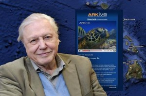 sir david attenborough patrocinador de wildscreen 300x198 Viajar en el tiempo o explorar el fondo de los océanos ya es posible con Google