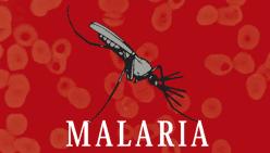 malaria-biblioteca-nacional-cruz-roja-espanola-cresib-y-obra-social-caja-madrid