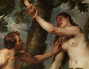 La copia que Rubens realizó de Adán y Eva de Tiziano. Restauración. Despues. Museo del Prado