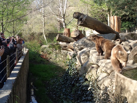 Parc Animalier des Pyrénées 3