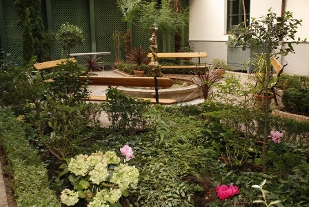 Jardín-Magnolio-Museo del Romanticismo