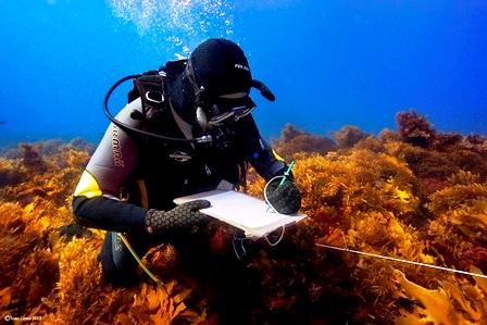 02/April/2013 Western Australia.UWA researchers working at Abrolhos Islands.Gary Kendric..©†JOAN COSTA.