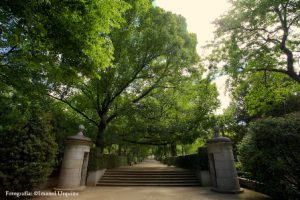 Carlos III Walk - Royal Botanical Garden - MySpanishExperience.com