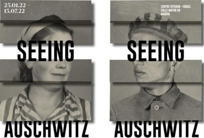 seeing auschwitz